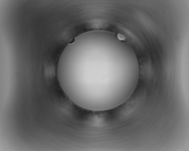 X0000114240368200910161639