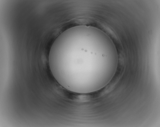 X0000114240371200910161639