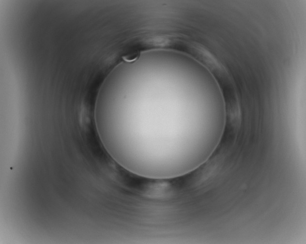 X0000114240374200910161639
