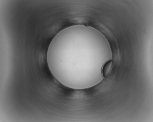 X0000114240376200910161639