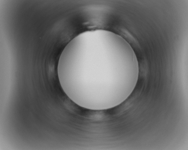 X0000114240377200910161639