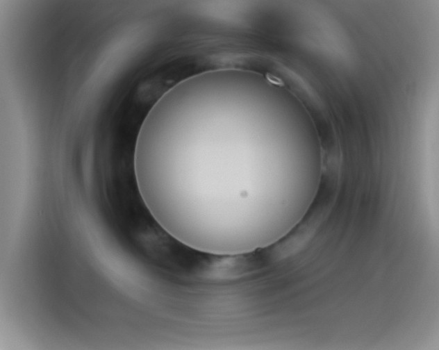 X0000114240382200910161639