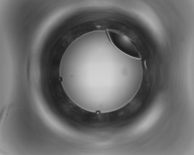 X0000114240383200910161639