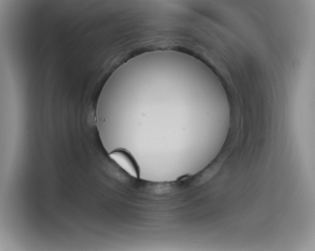 X0000114240384200910161639