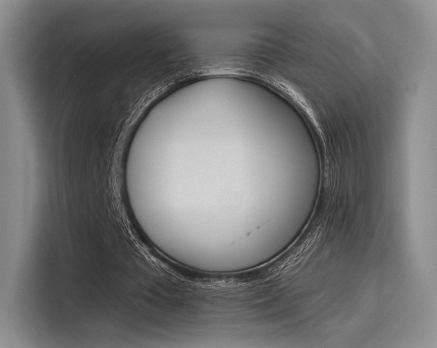 X0000114240385200910161638