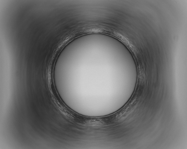X0000114240386200910161638