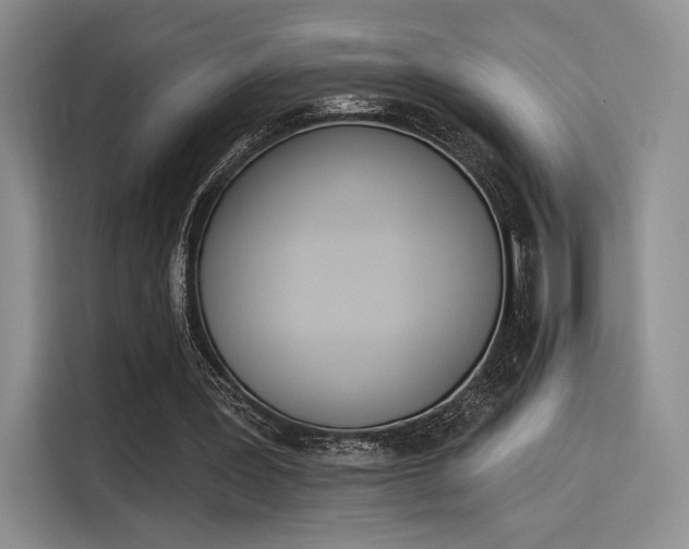 X0000114240387200910161638