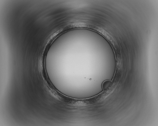 X0000114240390200910161638