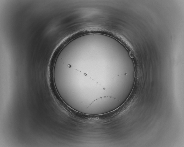 X0000114240391200910161638
