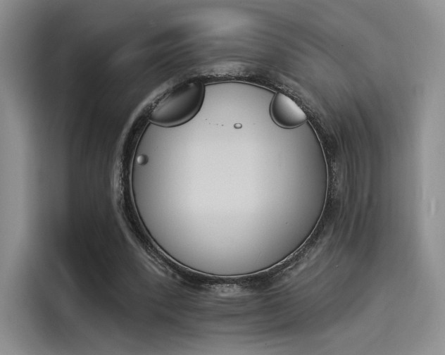X0000114240392200910161638