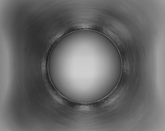 X0000114240394200910161638