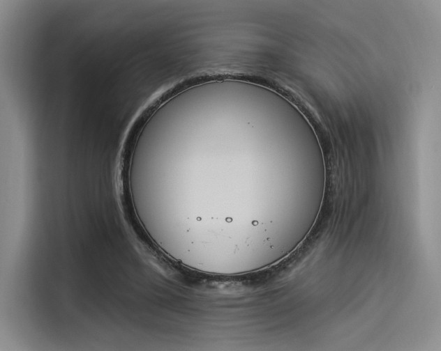 X0000114240395200910161638