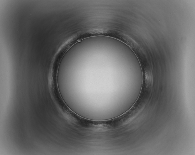 X0000114240396200910161638