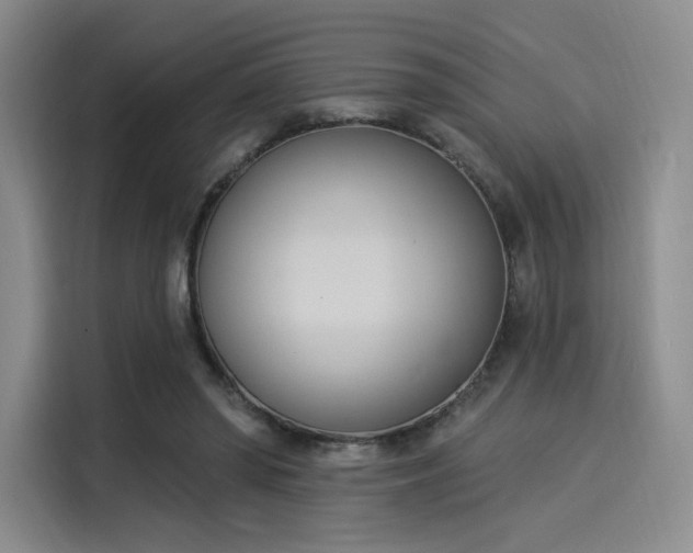 X0000114240398200910161638