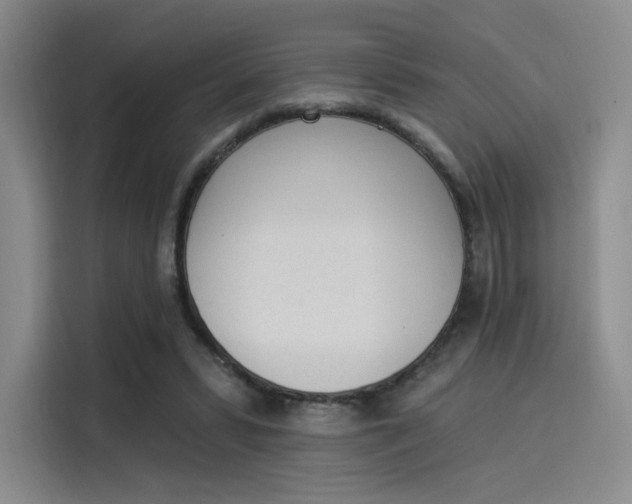 X0000114240399200910161638