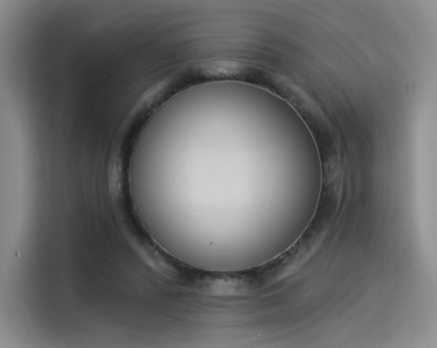 X0000114240400200910161638