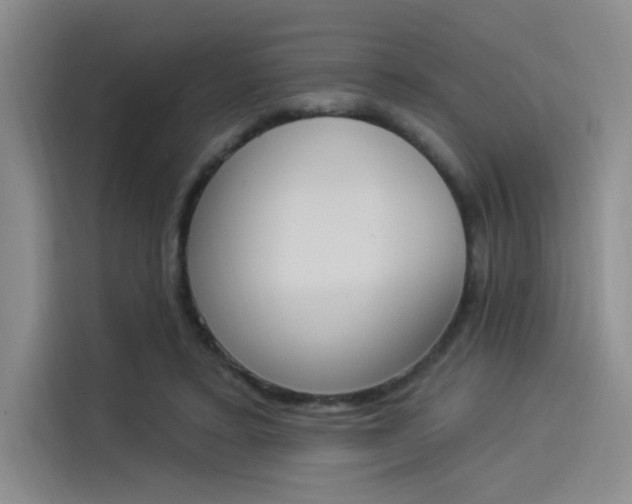X0000114240403200910161638