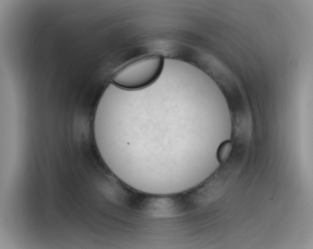 X0000114240409200910161638