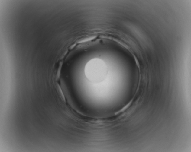 X0000114240419200910161638