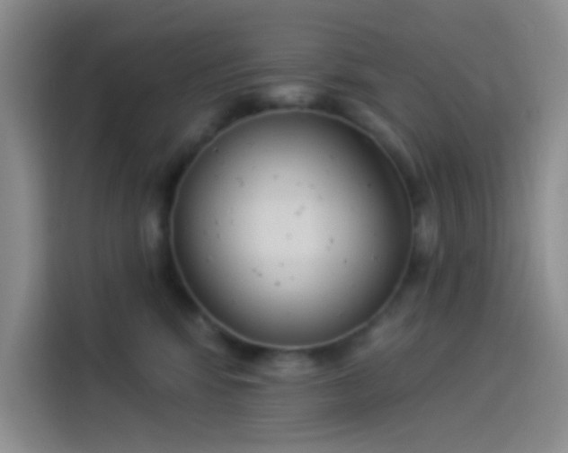 X0000114240424200910161638