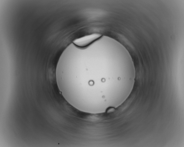 X0000114240425200910161638