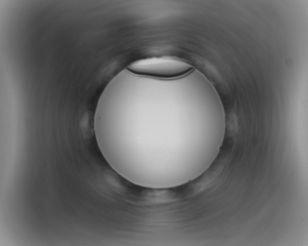 X0000114240428200910161637