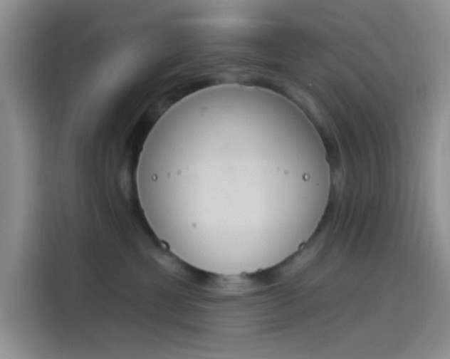 X0000114240429200910161637