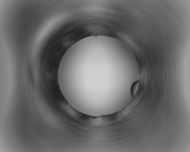 X0000114240430200910161637