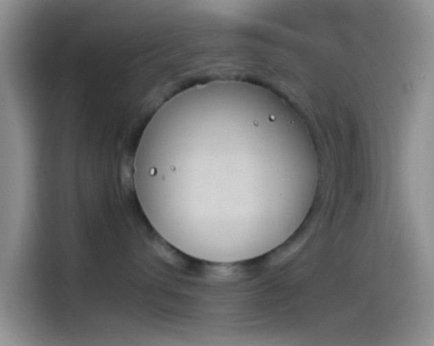 X0000114240432200910161637