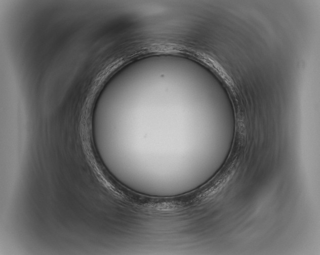 X0000114240433200910161637