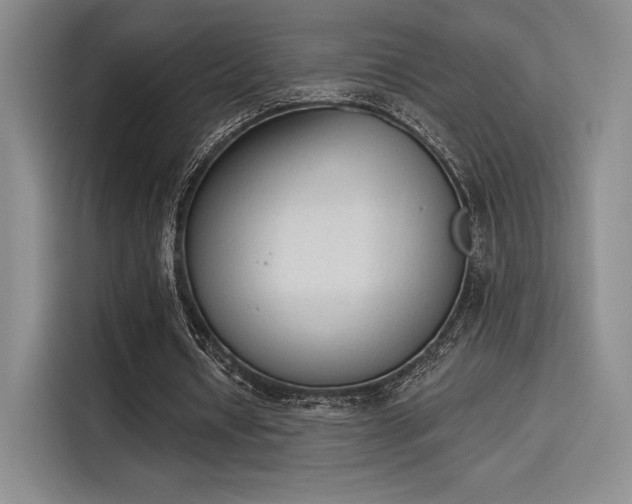 X0000114240434200910161637