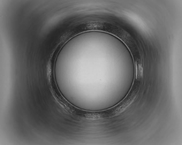 X0000114240435200910161637