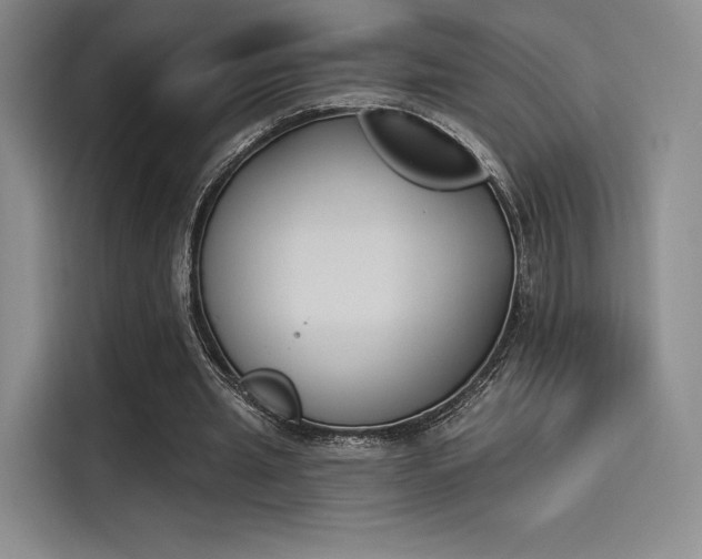 X0000114240437200910161637