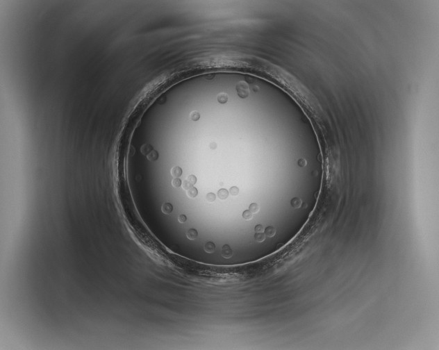 X0000114240438200910161637