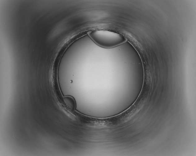 X0000114240439200910161637