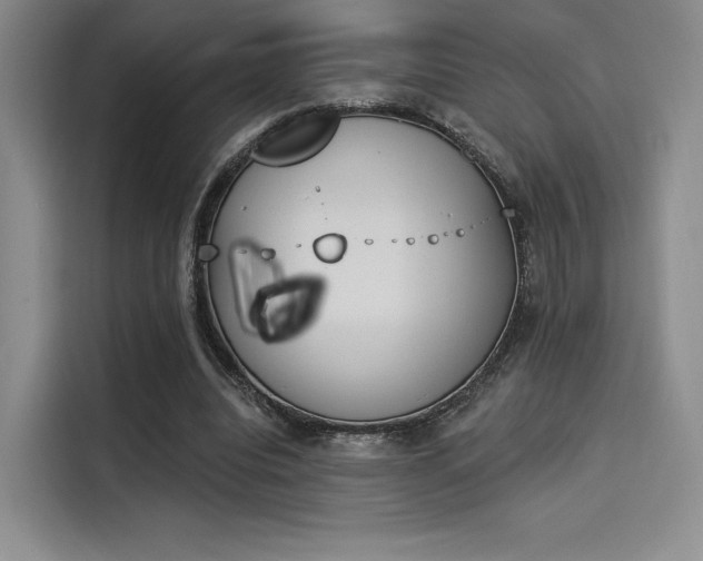 X0000114240440200910161637