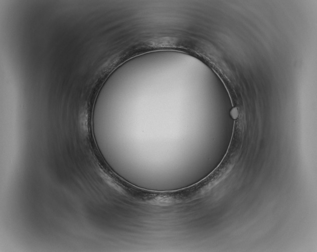 X0000114240441200910161637