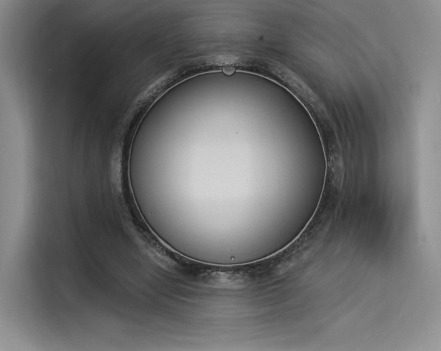 X0000114240442200910161637