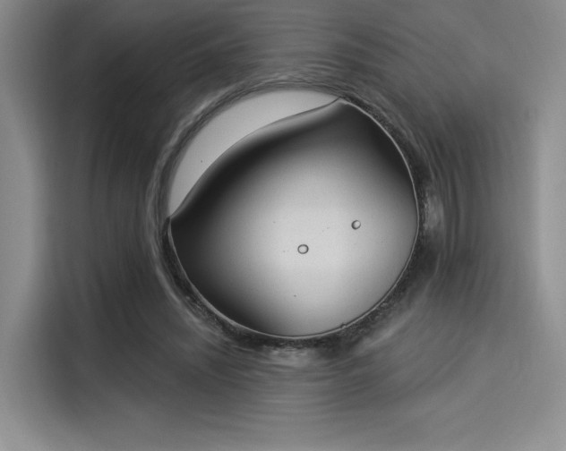 X0000114240444200910161637