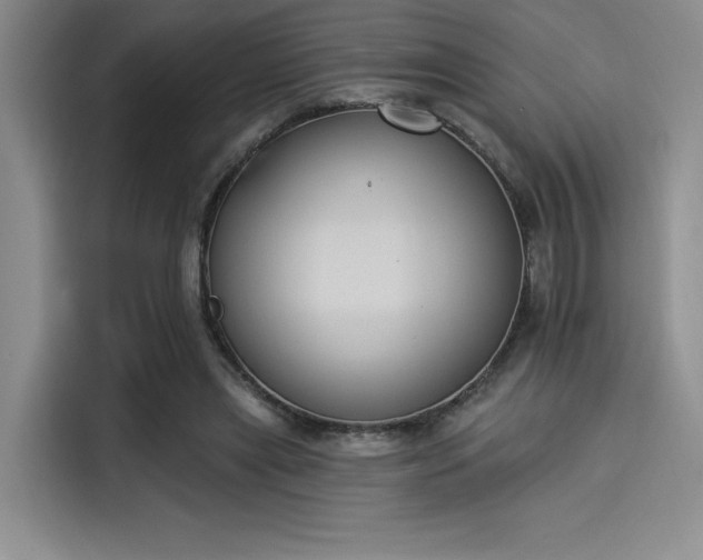 X0000114240445200910161637