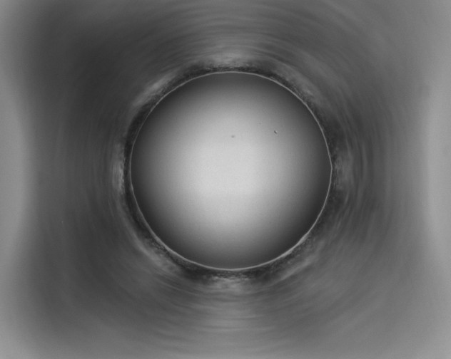 X0000114240446200910161637