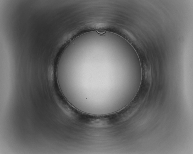 X0000114240447200910161637