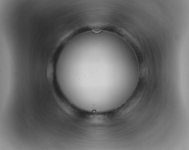 X0000114240448200910161637