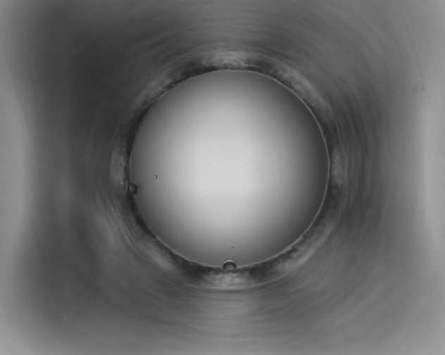 X0000114240449200910161637