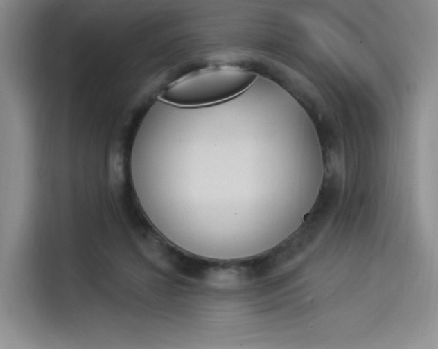 X0000114240452200910161637