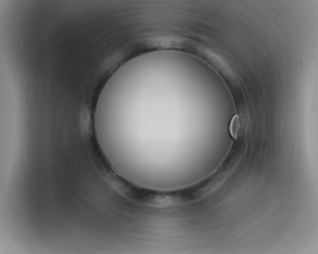 X0000114240453200910161637