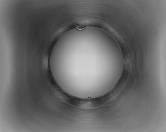 X0000114240454200910161637