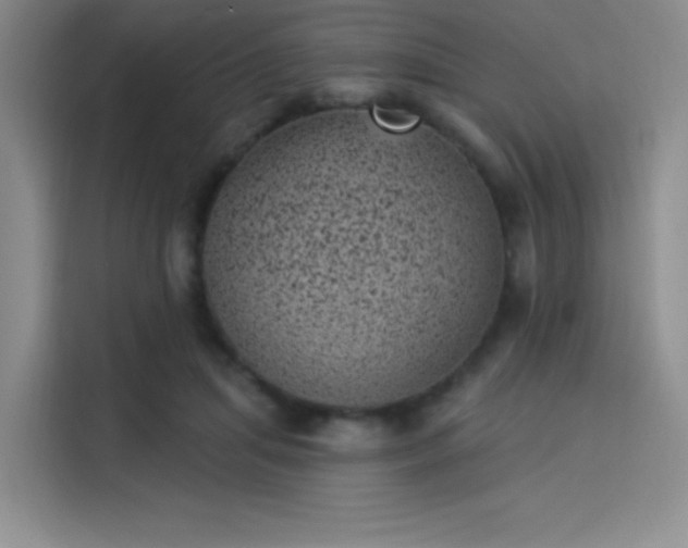 X0000114240455200910161637