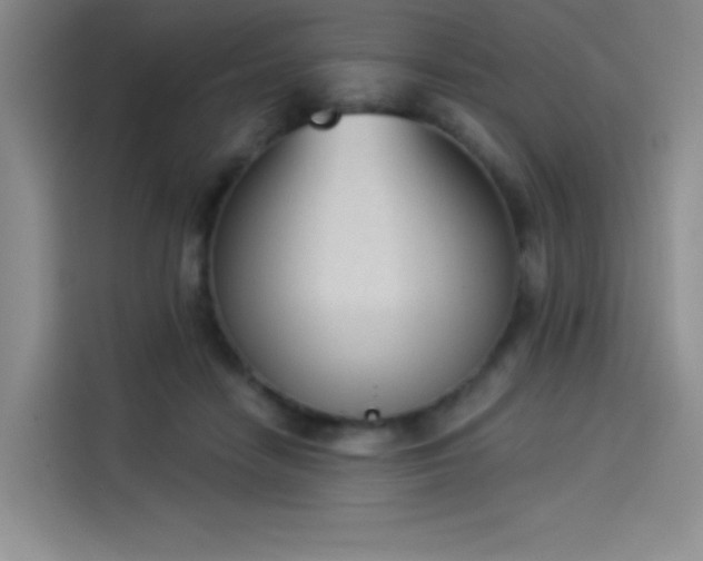 X0000114240458200910161637