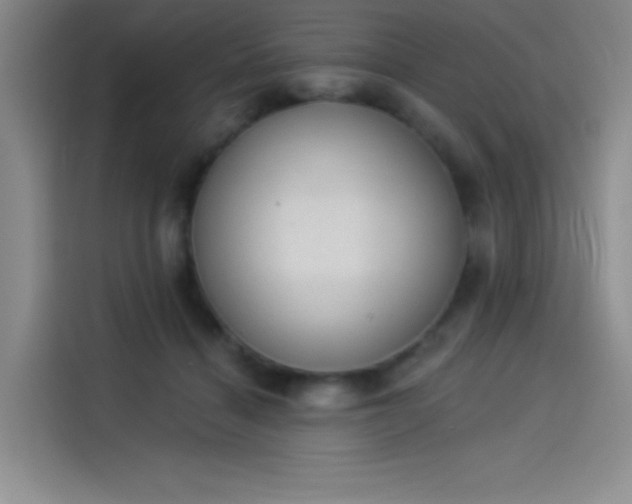X0000114240460200910161637